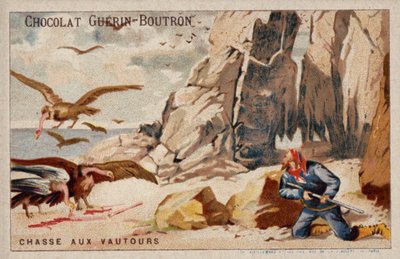 Chasse aux vautours - French School